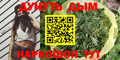 PSILOCYBIN Заводоуковск