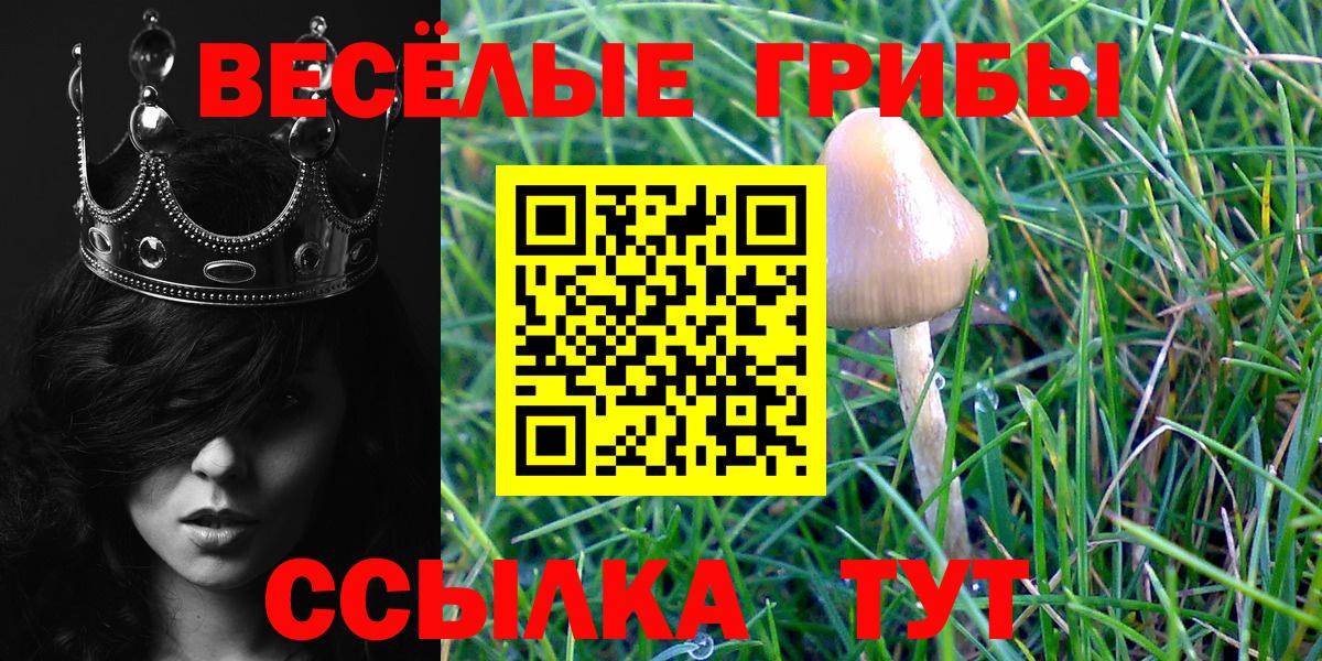 Псилоцибиновые грибы GOLDEN TEACHER  Вход с VPN  Галлюциногенные грибы мицелий  Курчатов 